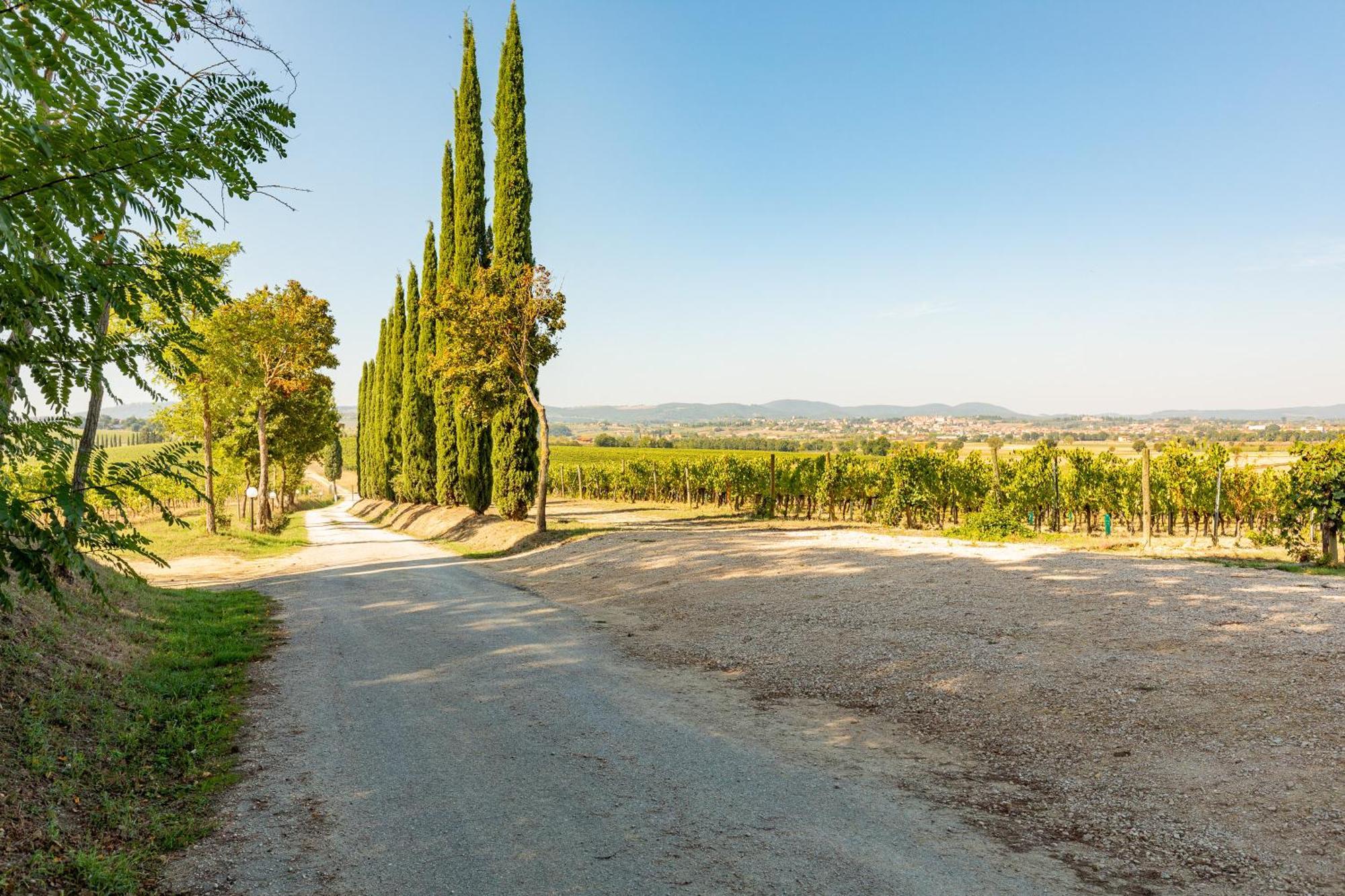 Appartamento Nobile Montepulciano Stazione Exteriör bild